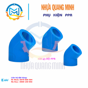 LƠI PPR (Co 45°) - BÌNH MINH