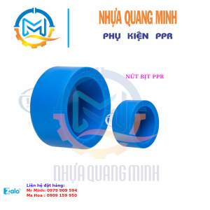 NẮP KHÓA PPR-BÌNH MINH