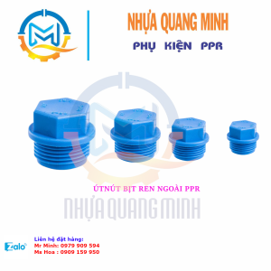 Nắp khóa ren ngoài PPR- BÌNH MINH