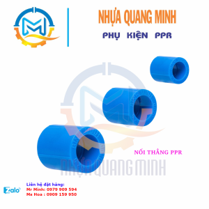 NỐI PPR- BÌNH MINH
