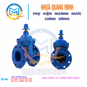 VAN CỔNG TY CHÌM (NẮP CHỤP)