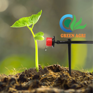 Béc tưới nhỏ giọt