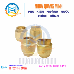 VAN 1 CHIỀU LÒ XO ĐỒNG